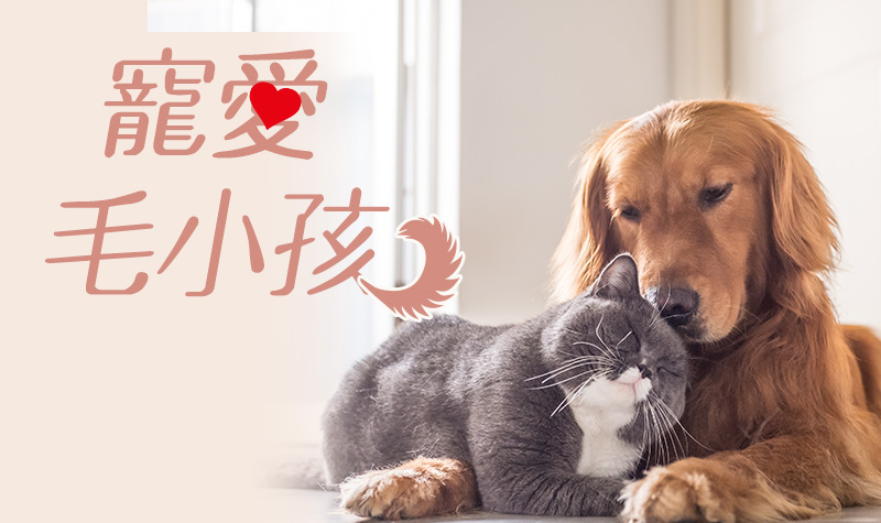 800x475_大樹藥局美妝通路滿額贈