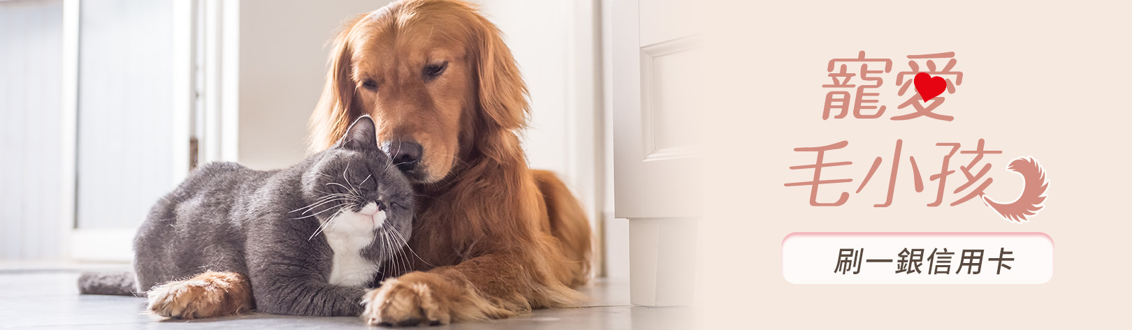 800x475_大樹藥局美妝通路滿額贈